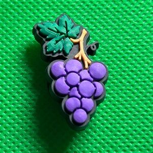 🌼 (5/$10 or 10/$15) NEW “I love Gardening” Croc Charm Collection grapes